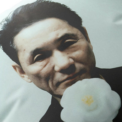 Close-up decorative pillow featuring Takeshi Kitano film-inspired artwork for indoor use